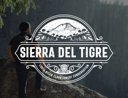 Sierra Del Tigre Logo